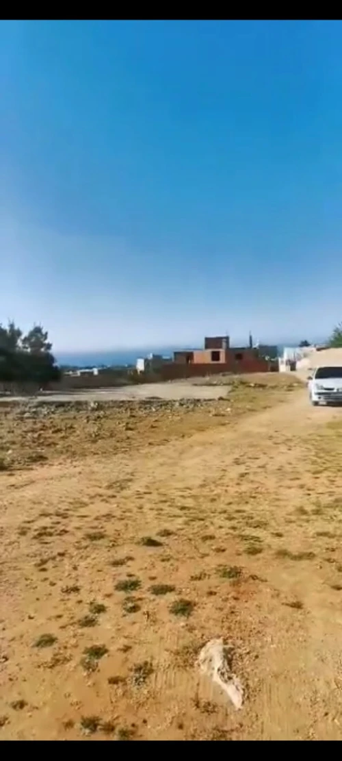 Vente Terrain Tipaza Bou ismail