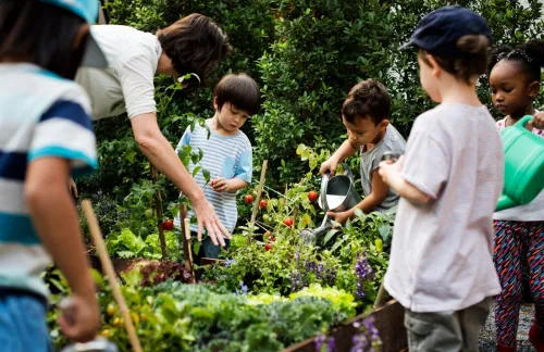 Sessions des vacances - Apprentissage des langues & les Ateliers de loisirs