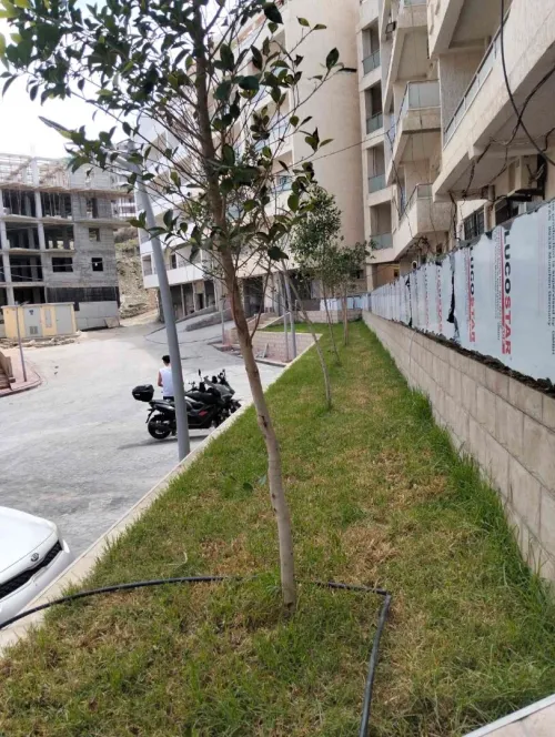 Vente Appartement F2 Boumerdès Dellys