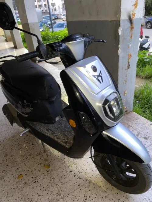 Vms Estate X 2024