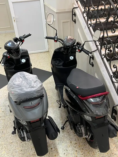 Vms Couxi 2025