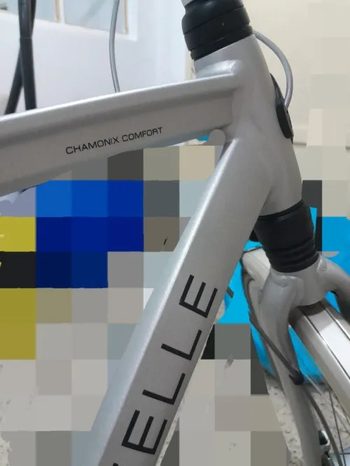 bicyclette Gazelle
