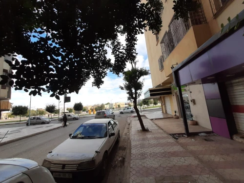 Vente Local Sidi Bel Abbès Sidi bel abbes