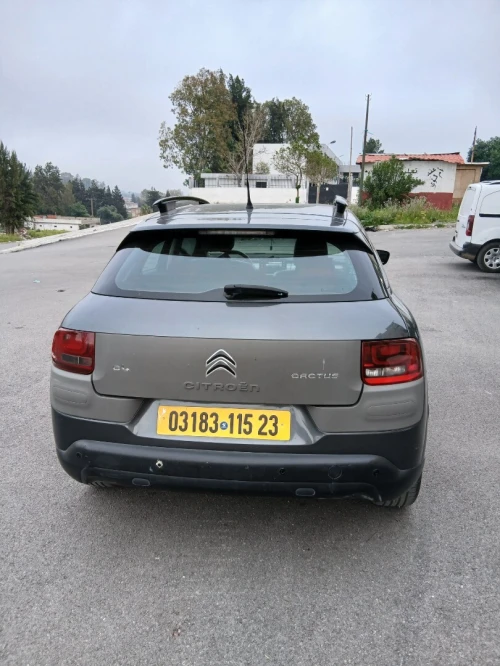 Citroen C4 Cactus 2015 Shine
