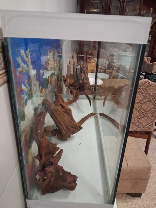 Aquarium avec meuble 1m équipée avec 40 poissons Cycledis Labidos Jaune