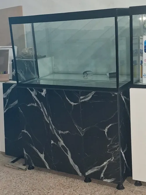 Aquarium avec meuble 1m équipée avec 40 poissons Cycledis Labidos Jaune