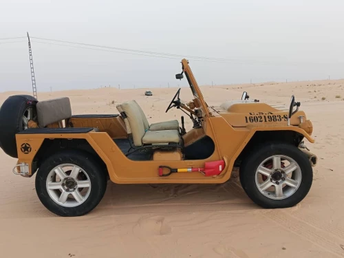 Jeep Willys 1977 