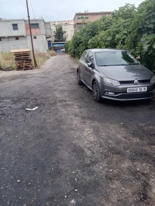 Vente Terrain Blida Ouled selama