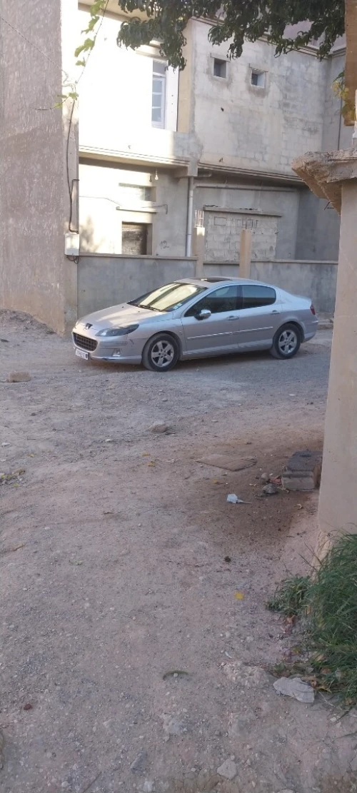 Peugeot 407 2008 407