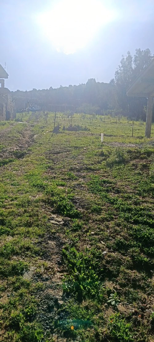 Vente Terrain Boumerdès Beni amrane