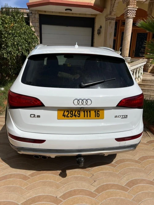 Audi Q5 2011 Off Road
