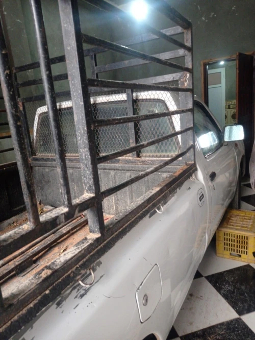 Nissan Pickup 2010 Pickup