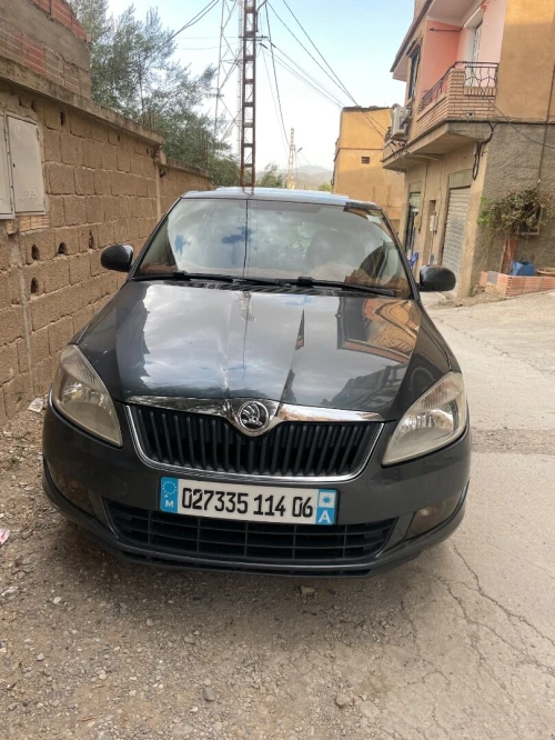 Skoda Fabia 2014 Fresh