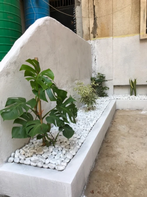 تزيين الحدائق 