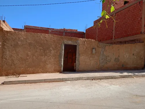 Vente Terrain Saïda Ouled khaled