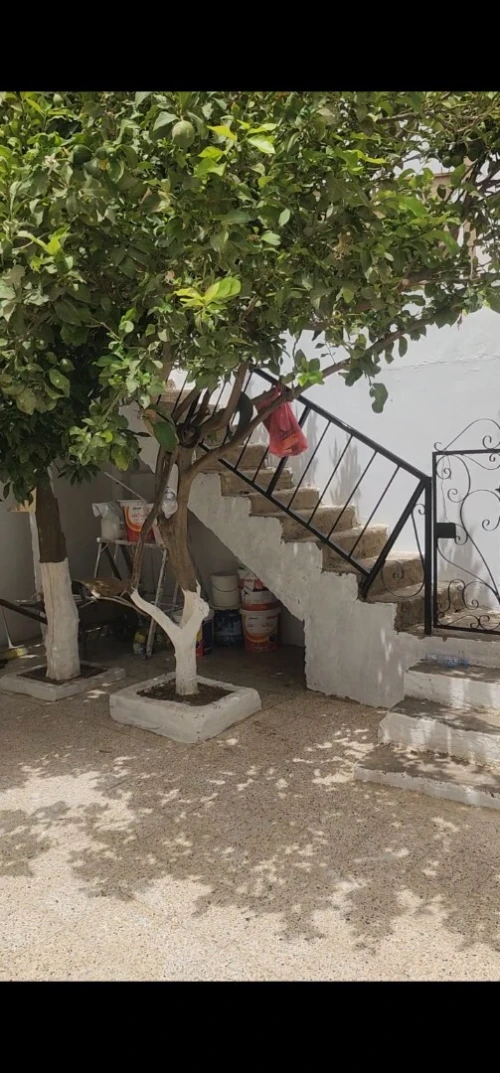 Vente Villa Mostaganem Sidi ali