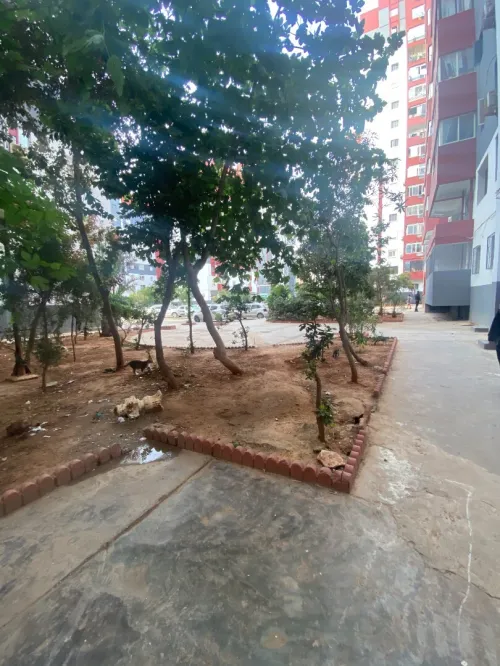 Location Appartement F4 Oran Bir el djir