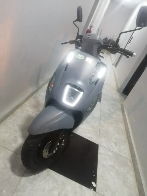 Vms coxi II 2025