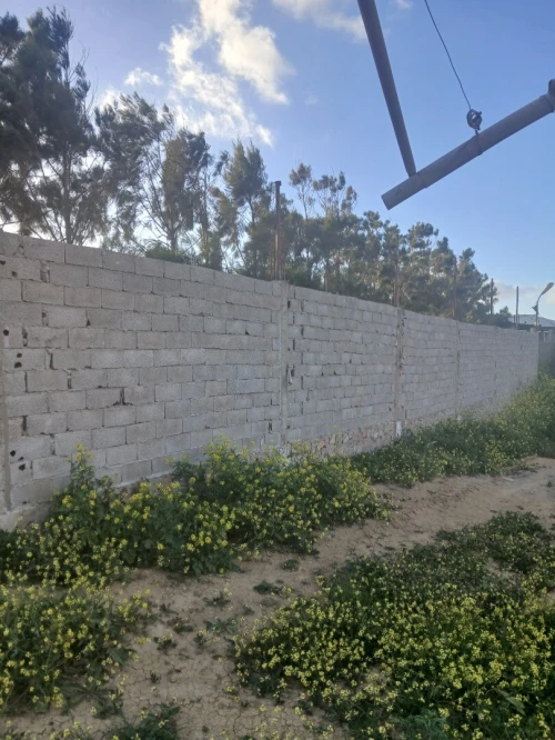 Vente Terrain Agricole Oran El ançor