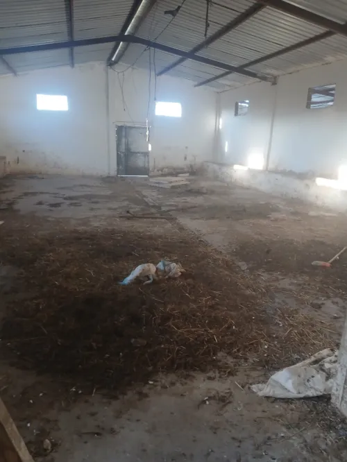 Vente Terrain Agricole Oran El ançor