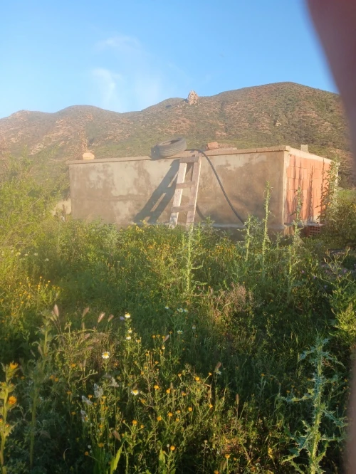 Vente Terrain Agricole Oran El ançor