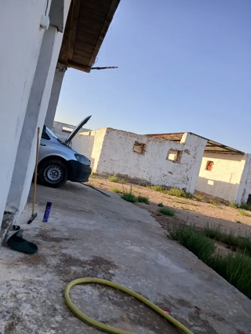 Vente Terrain Agricole Djelfa Ain oussara