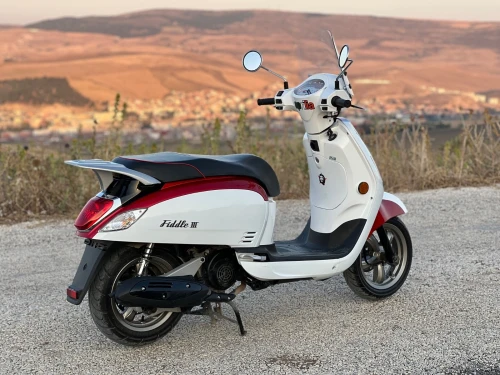 Sym Fiddle 3 2023