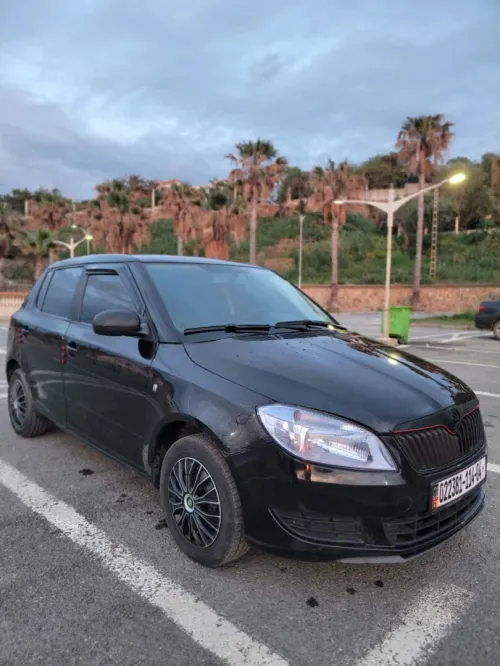 Skoda Fabia 2014 Visage