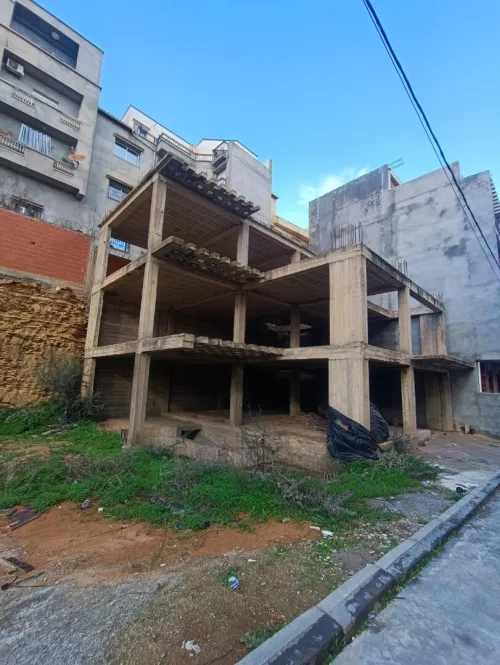 Vente Terrain Alger Saoula
