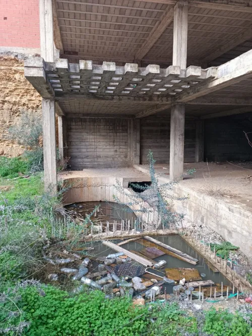 Vente Terrain Alger Saoula