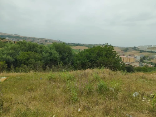 Vente Terrain Boumerdès Corso 6