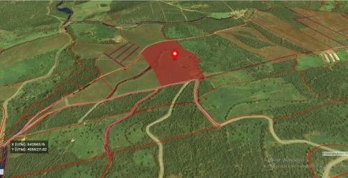 Vente Terrain Agricole Boumerdès Bouzegza keddara