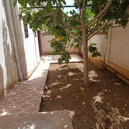 Vente Villa Boumerdès Corso