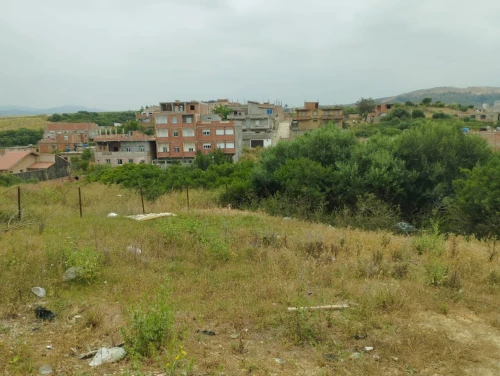 Vente Terrain Boumerdès Corso 3