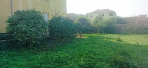 Vente Terrain Boumerdès Ouled hedadj