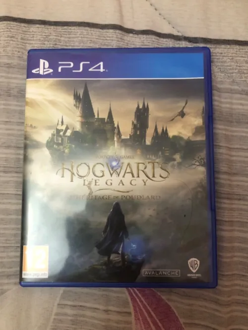 Hogwarts Legacy l'héritage de Poudlard