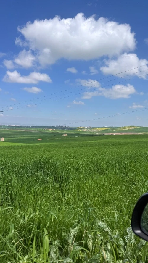 Vente Terrain Aïn Témouchent Aghlal