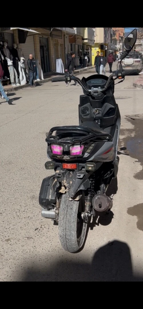 Gevatti 52 2019
