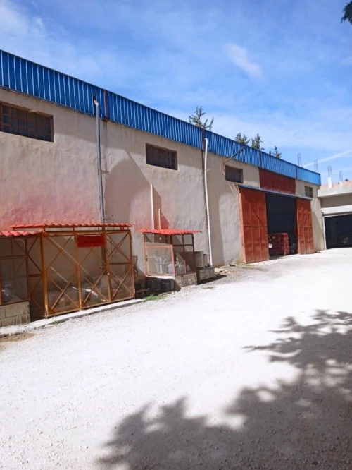 Location Hangar Constantine El khroub
