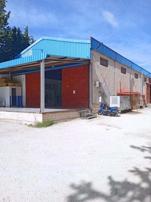 Location Hangar Constantine El khroub