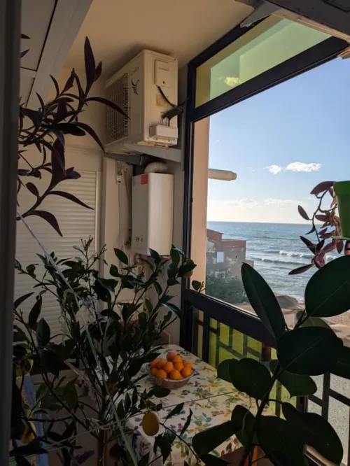 Vente Appartement F3 Tipaza Bou ismail