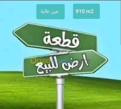 Vente Terrain Alger Ain taya