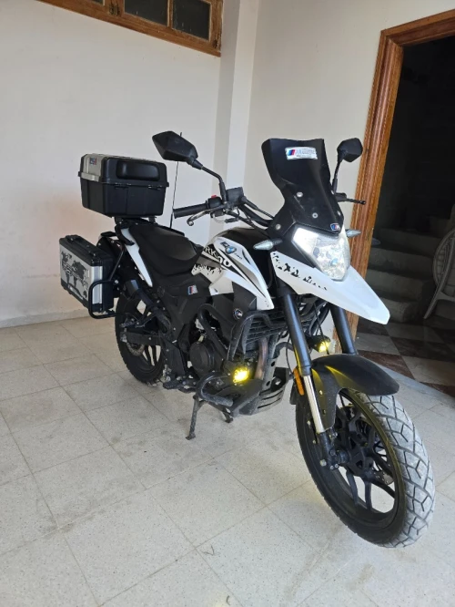Vms Rk 200 2022