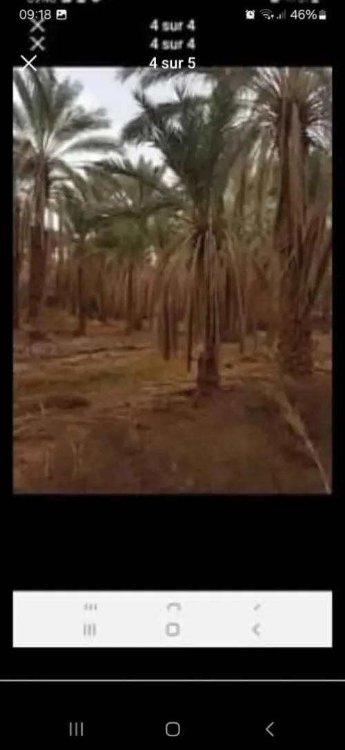 Vente Terrain Ouargla Ouargla