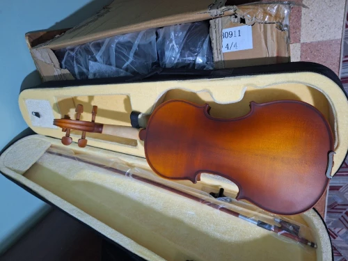 Violon professionnel 4/4
