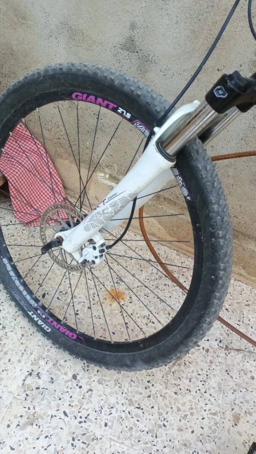 Velo 26.5 GEANT