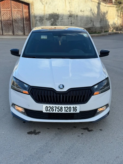 Skoda Fabia 2020 Monte Carlo