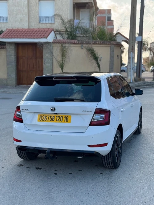 Skoda Fabia 2020 Monte Carlo