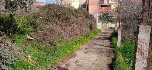 Vente Terrain Tizi Ouzou Beni aissi