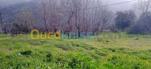 Vente Terrain Tizi Ouzou Beni aissi